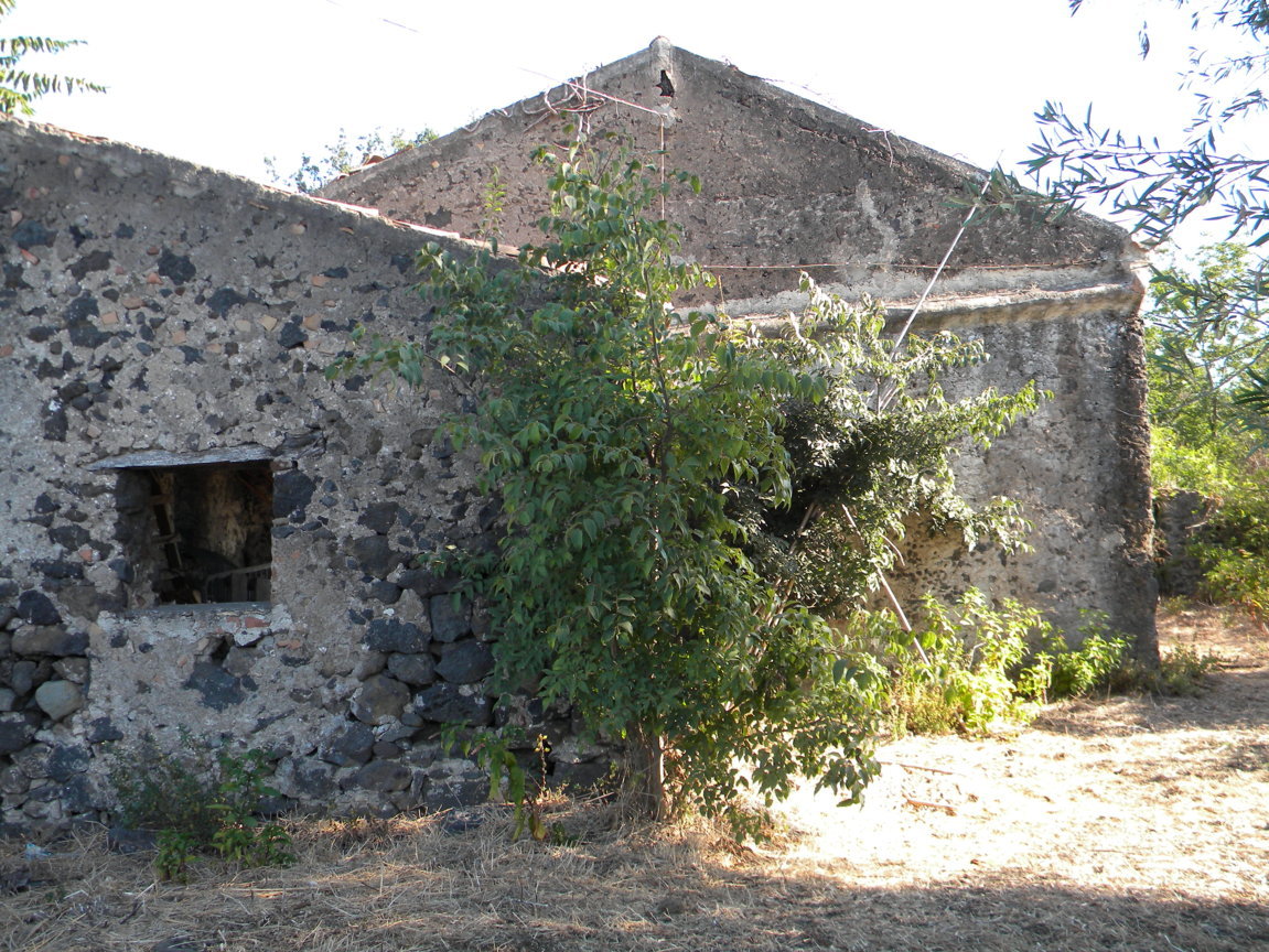 DSCN8118 .JPG